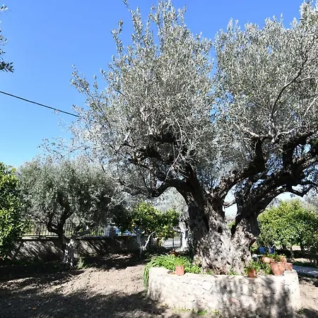 Kavalino Hébergement de vacances