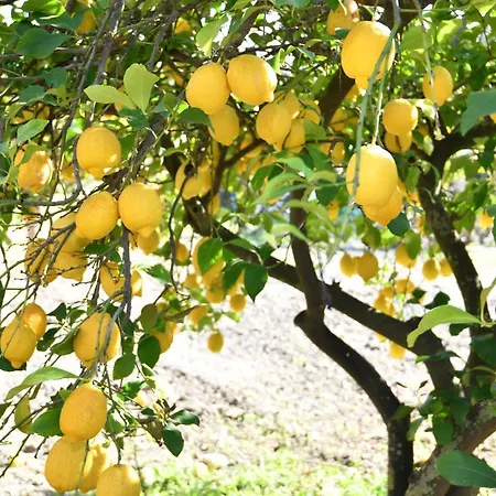 Hébergement de vacances Kavalino *