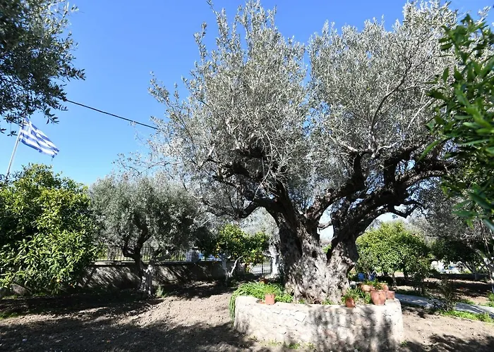 Kavalino Дом отдыха