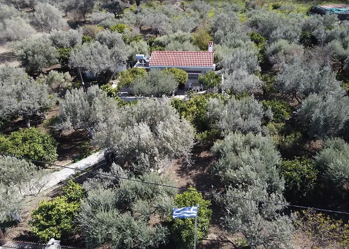 Kavalino Колимбия