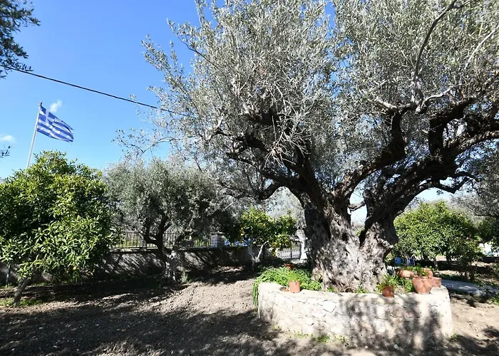 Kavalino Feriehus Kolymbia