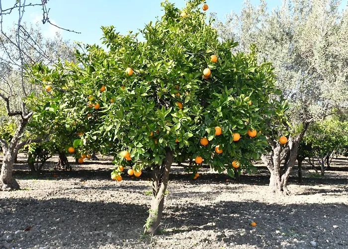 Case de vacanță Kavalino Kolymbia