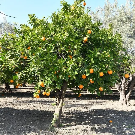 Vakantiehuis Kavalino Kolymbia